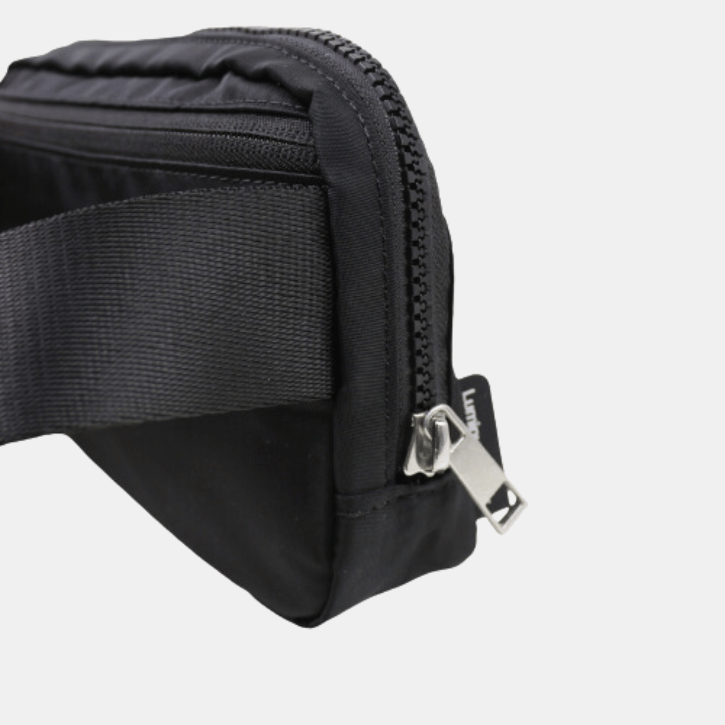 Everywhere Crossbody Belt Bag